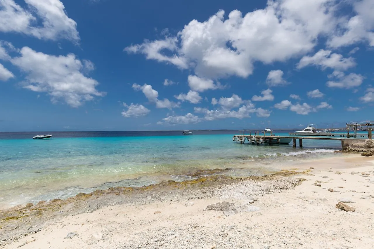 Blachi Koko Apartments Kralendijk  0*, Kralendijk (Bonaire)