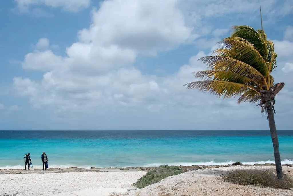 Blachi Koko Apartments Kralendijk  0*, Kralendijk (Bonaire)